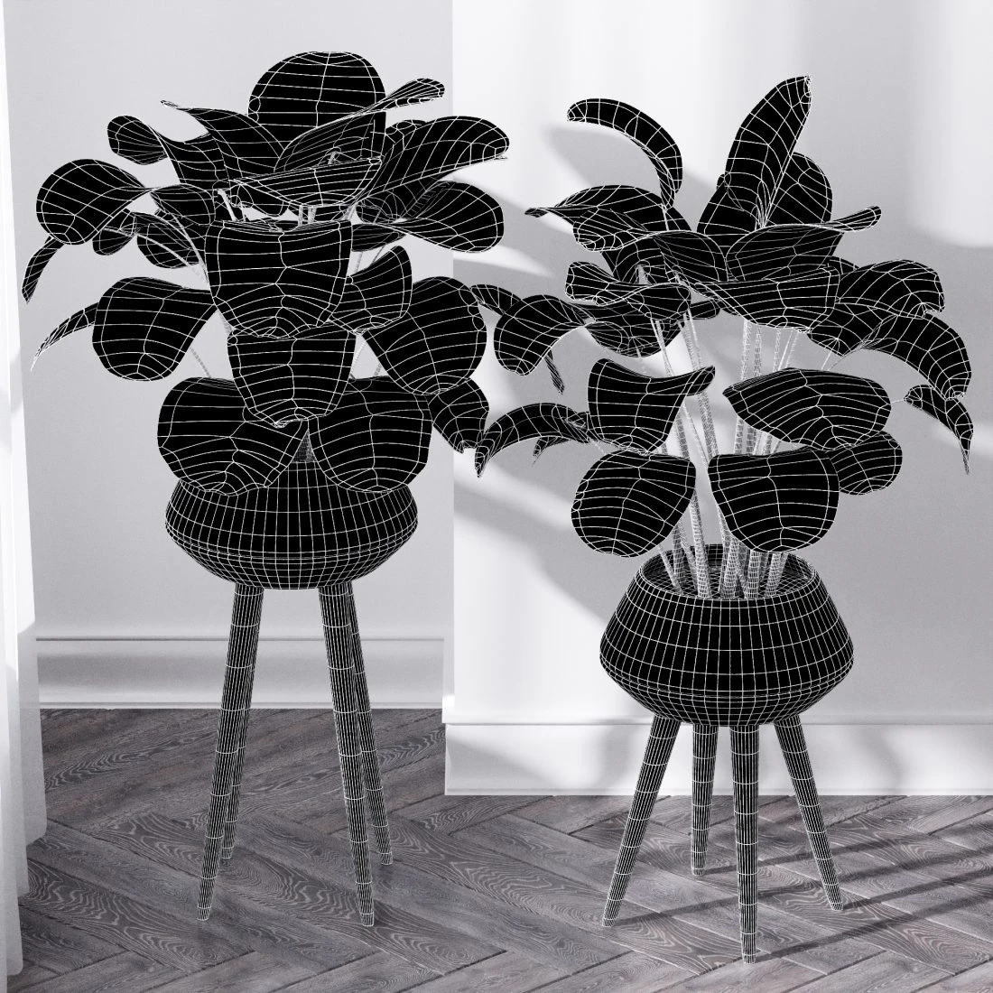 Дополнительное изображение