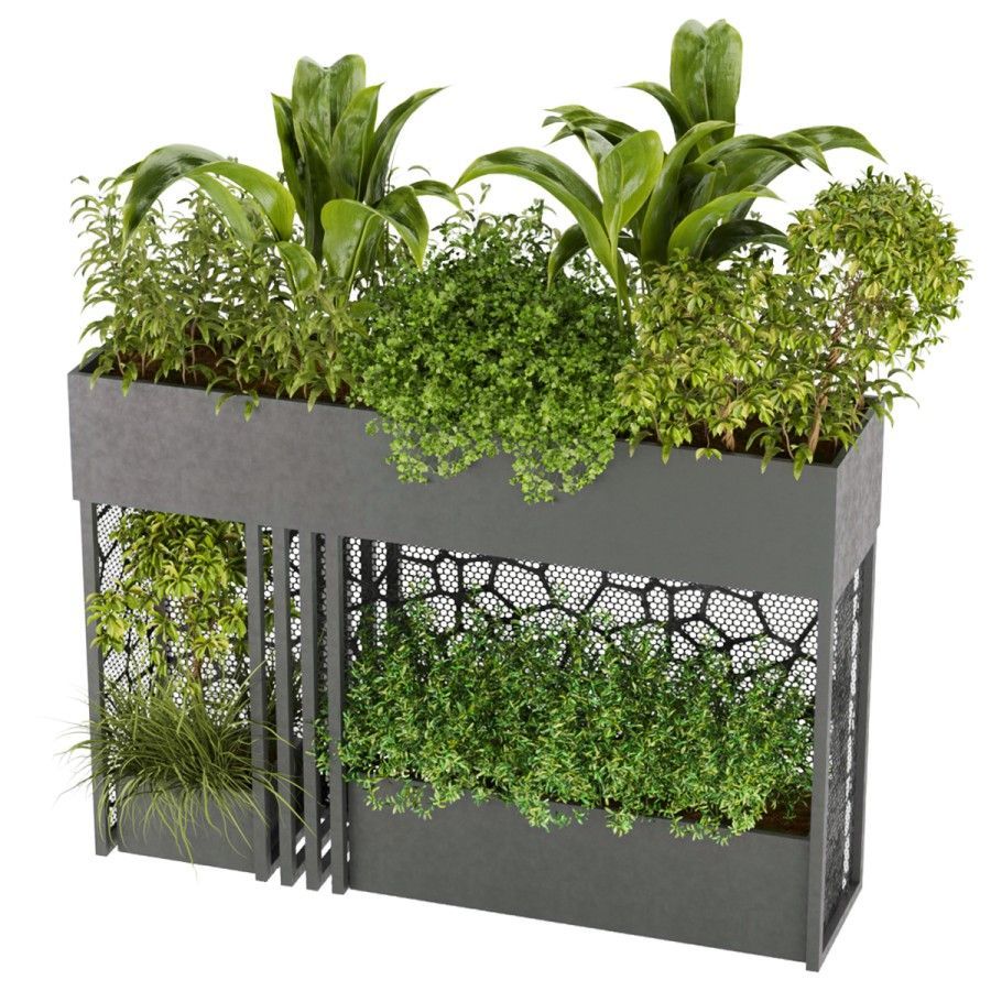Collection plant vol 241