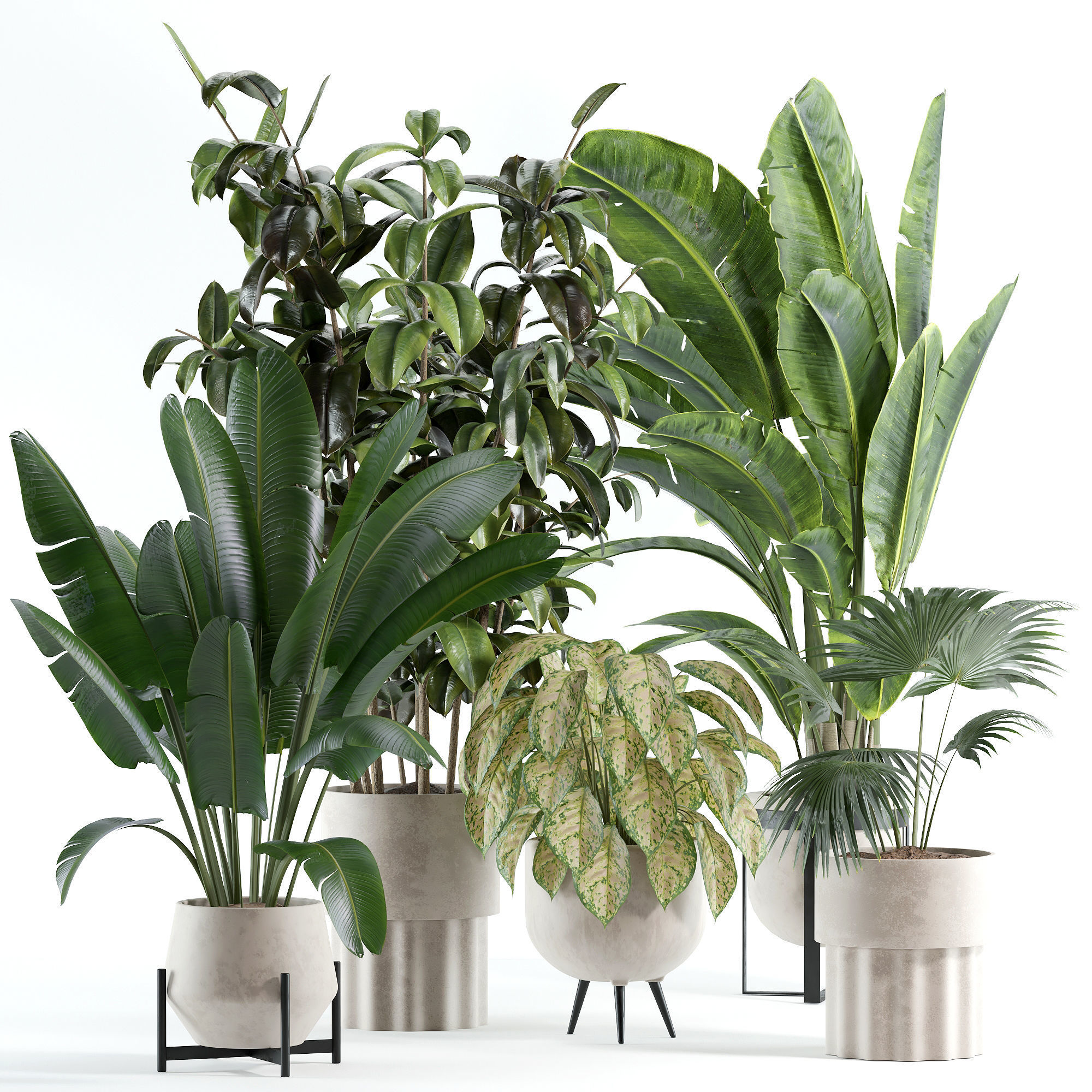 indoor plant 308