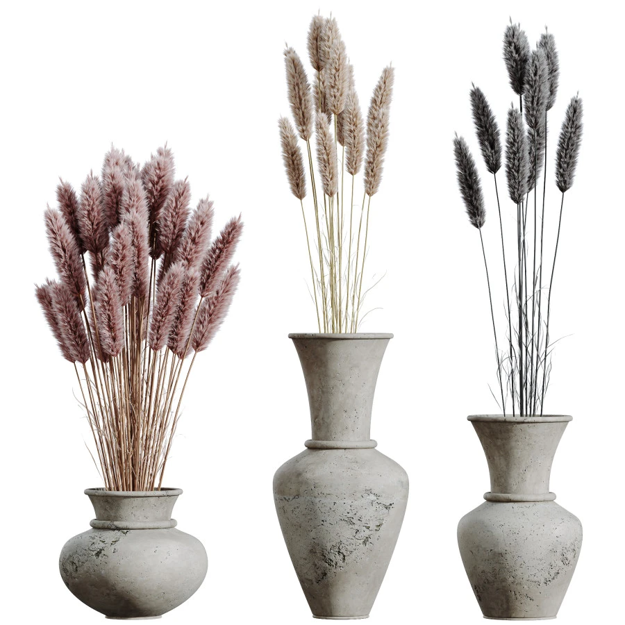 Decorative Miscanthus Pampas Dried Branches Pampy5