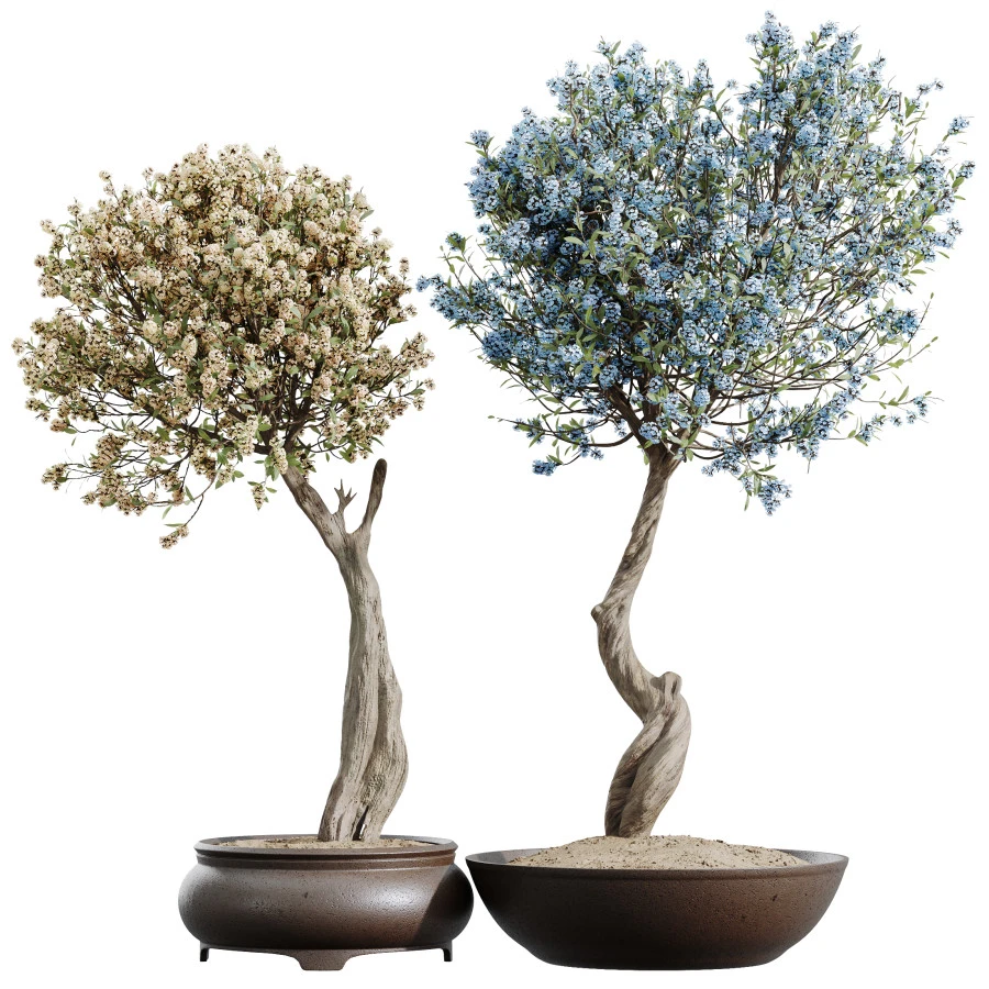 Tropez Planter Cherry Blossom Decorative TreeColor
