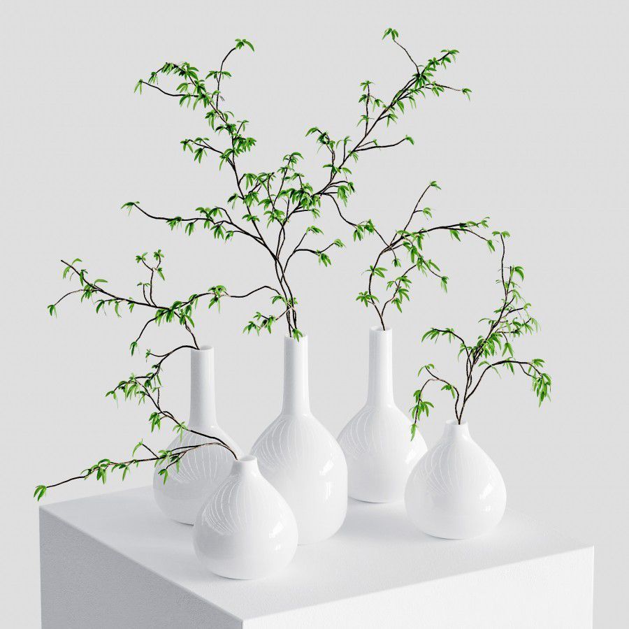 The Branches In The Vases