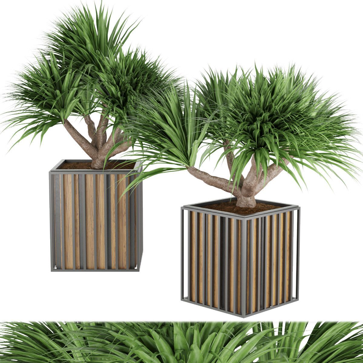 Collection plant vol 178