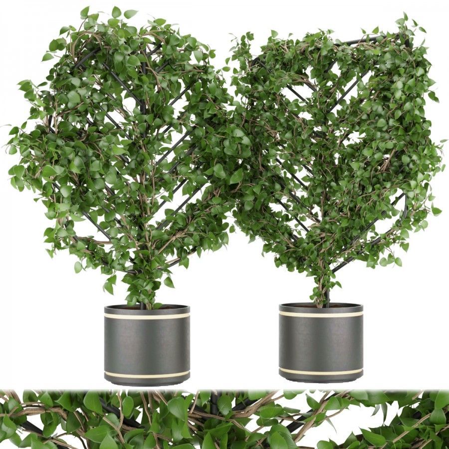 Collection plant vol 101