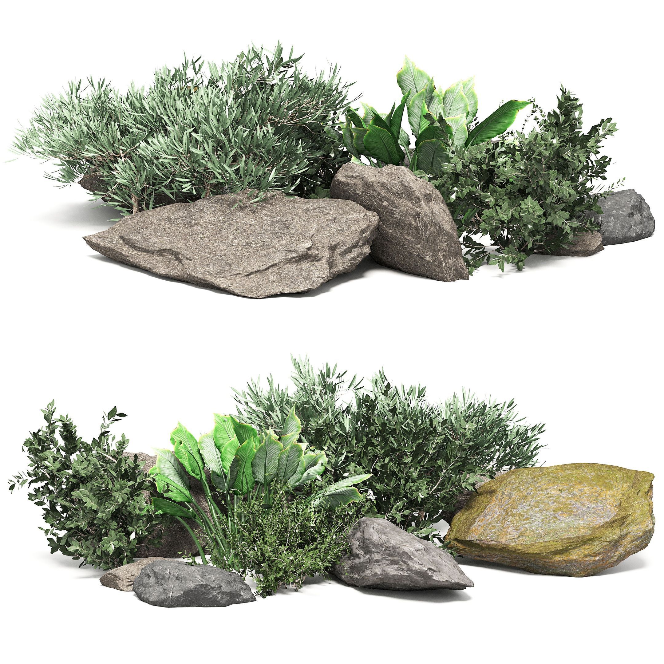 Stones and tree