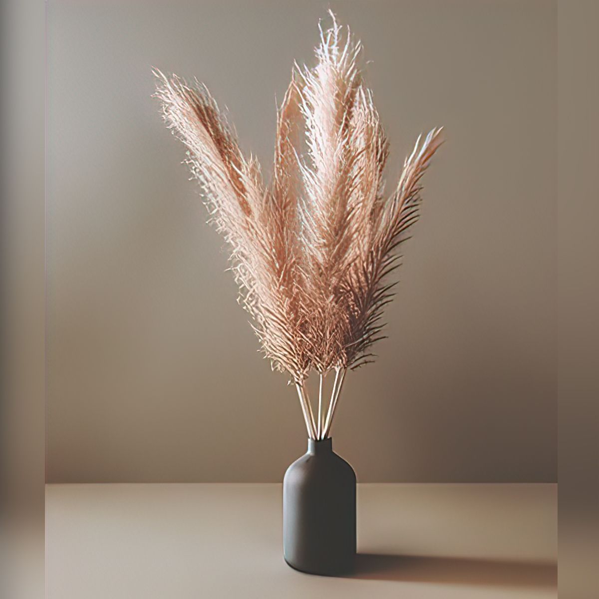 Pampas Grass 2