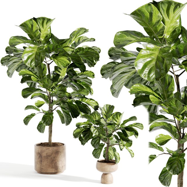 indoor plant 316