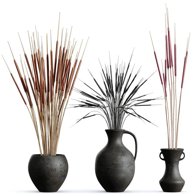 Decorative Stoilan Pampas Dried Branches Pampy