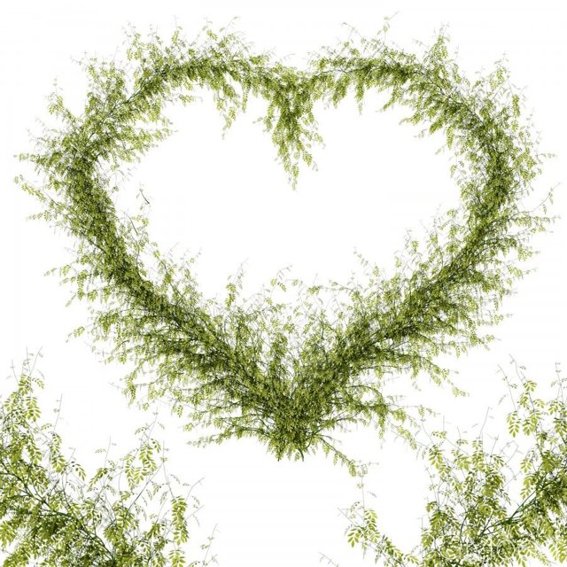 Heart From Leaves