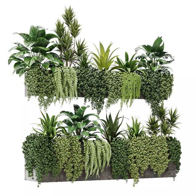 outdoor plant M04