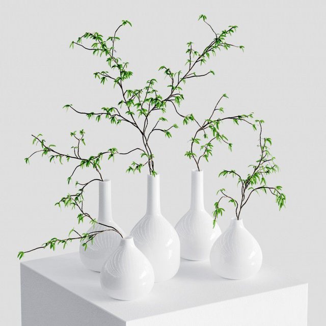 The Branches In The Vases