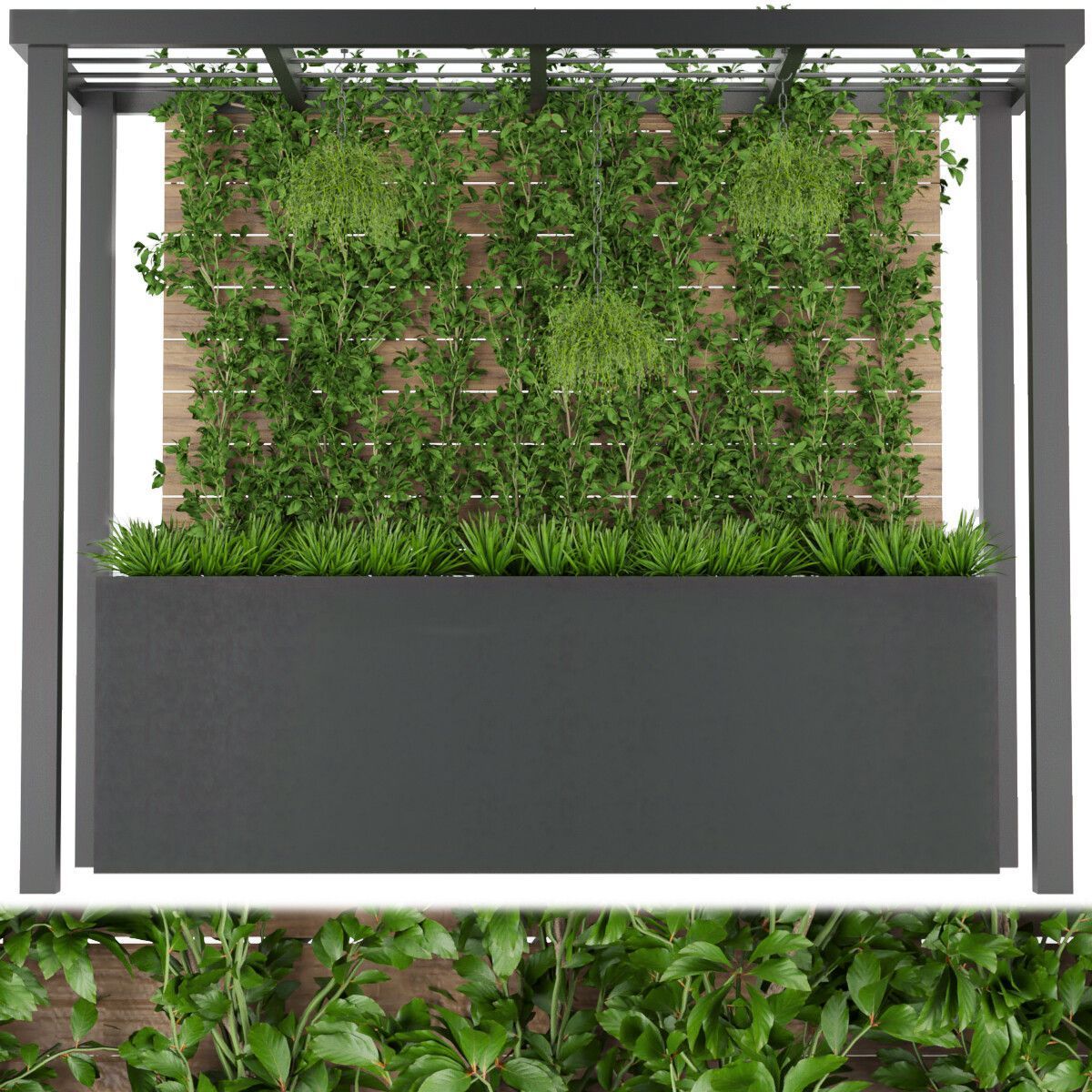 Collection plant vol 209